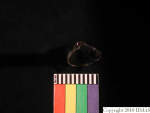 L_V20d4025 A16q46.1 R827 dM la f15.JPG L_V20d4025 A16q46.1 R827 dM la f15